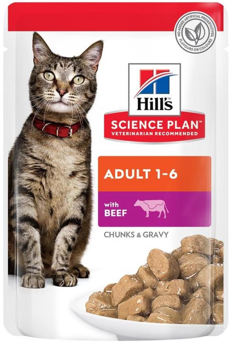 Hills Adult Beef